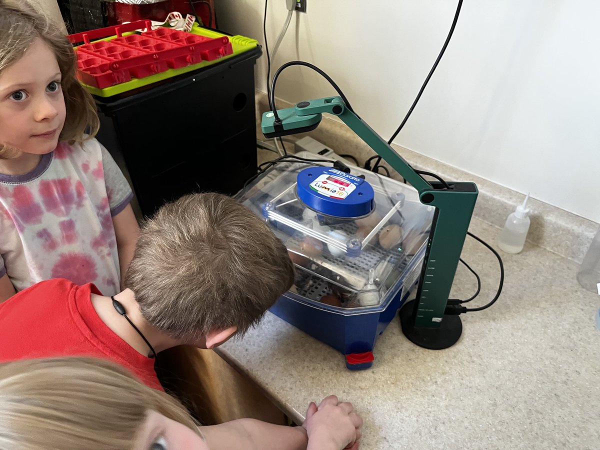 vpterpstra's tweet photo. Our baby Gryphon chicks are hatching! Thanks kindie from principal farmer Terpstra ⁦@GEDSB⁩ #beGRyphonGRand https://t.co/XorQ5CbkFT