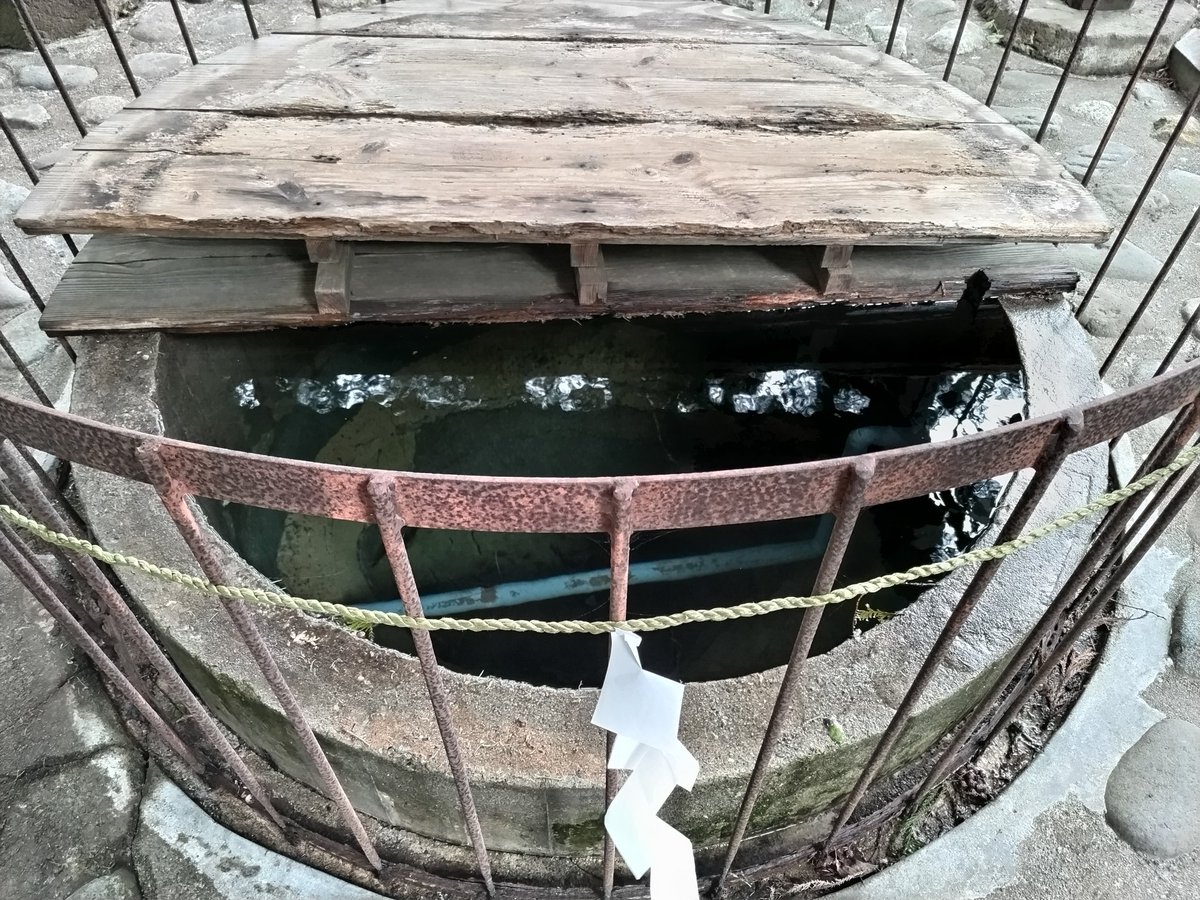 土津神社にお詣りしてきました！
30年振りに水が湧いたという円清水を見たかったので✨
澄み切った水が井戸を満たしていました😊
新緑の時期もいいですね〜🌿

 #土津神社