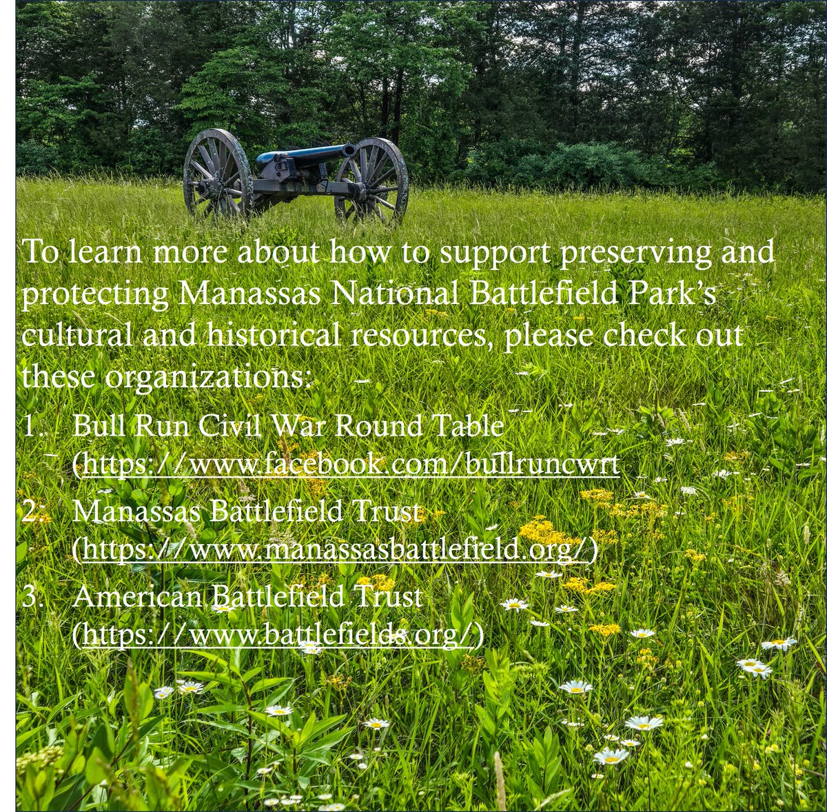 David Peterson tweet media