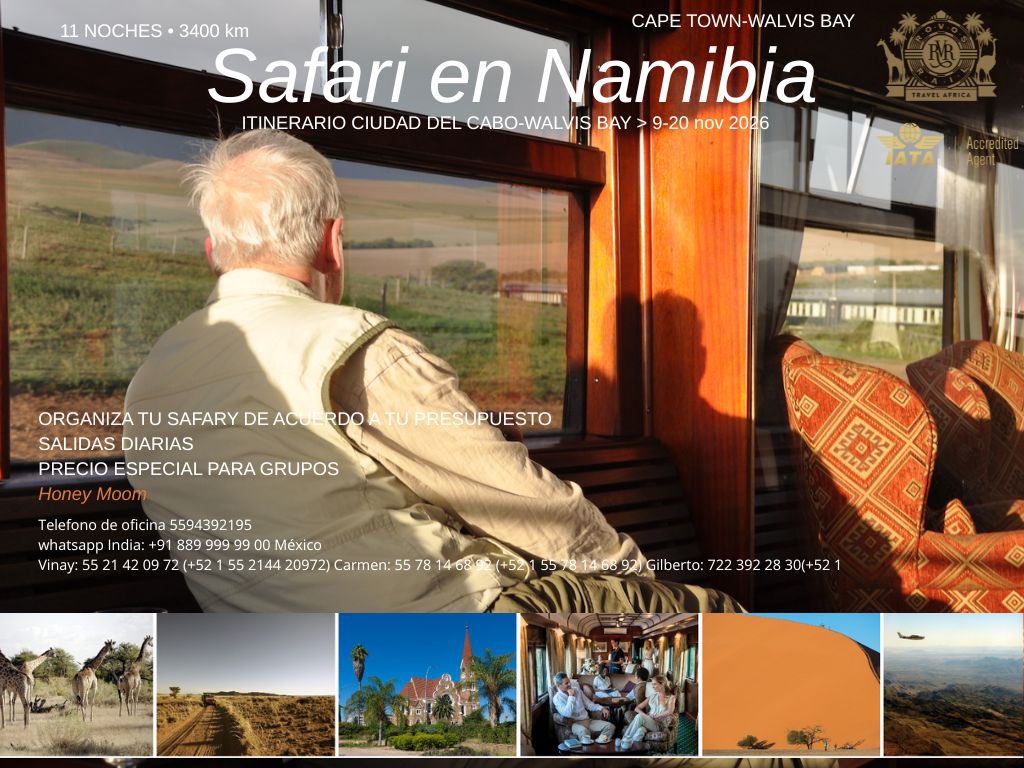 The Indian Travel Life tweet media