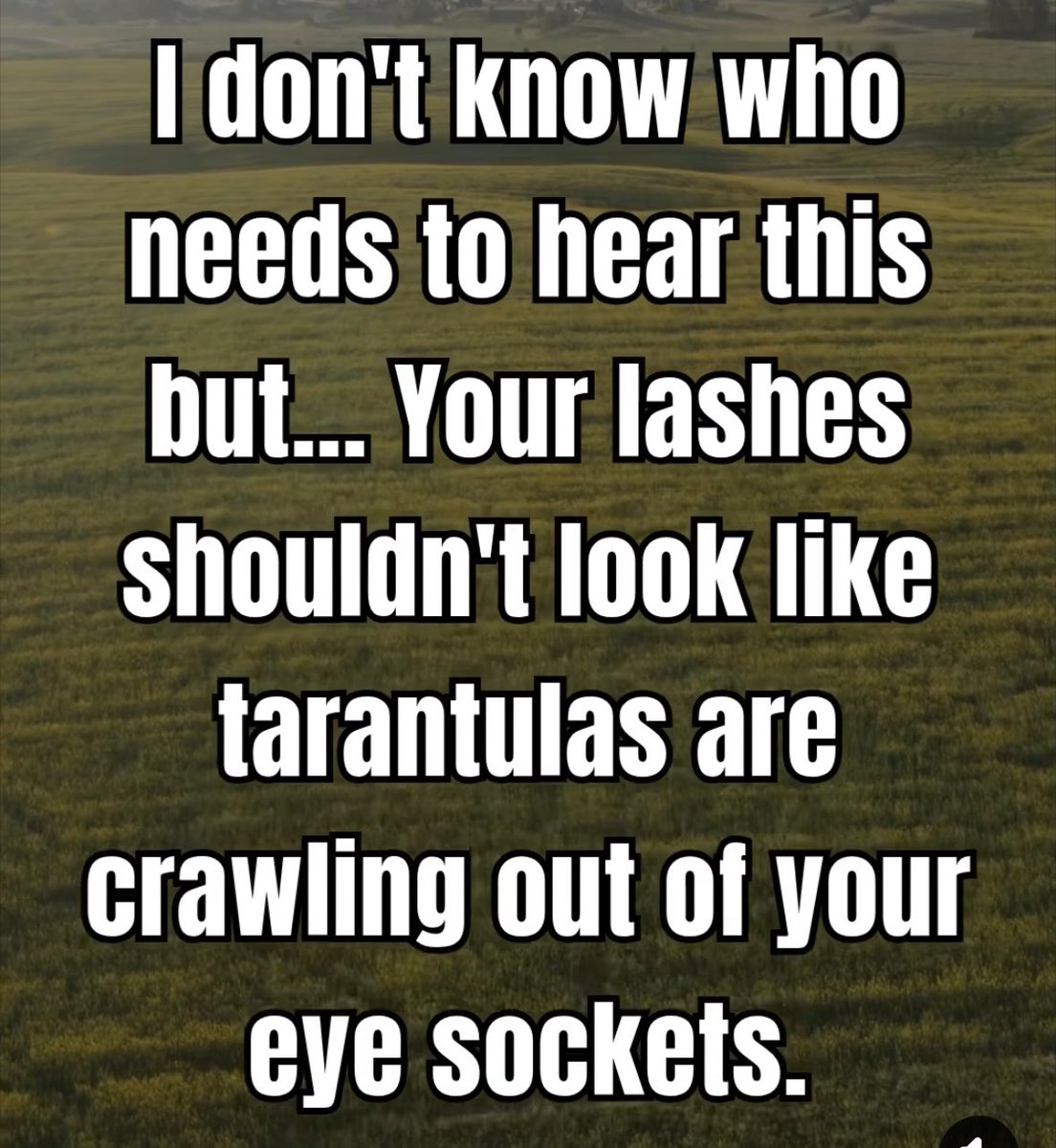 AnnieForTruth's tweet image. 😂