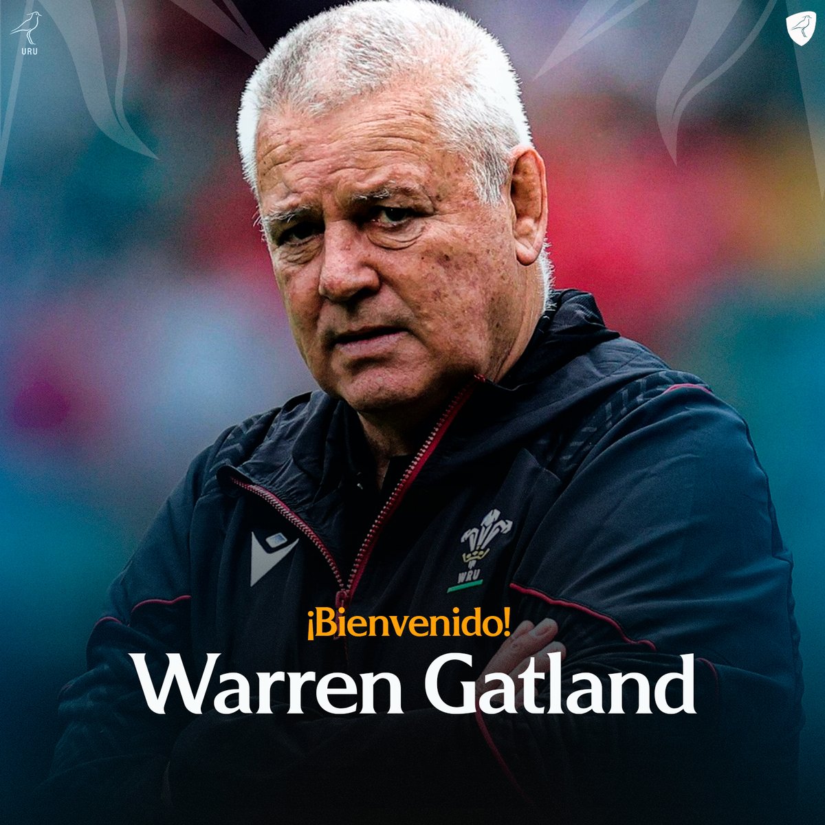 RugbyUruguay's tweet photo. 𝗪𝗔𝗥𝗥𝗘𝗡 𝗚𝗔𝗧𝗟𝗔𝗡𝗗, 𝗘𝗡 𝗨𝗥𝗨𝗚𝗨𝗔𝗬 

El histórico entrenador permanecerá durante las próximas tres semanas en Uruguay, brindando su conocimiento y experiencia al Alto Rendimiento de la URU a todos los niveles. 

¡BIENVENIDO! https://t.co/okog9lG4Zm