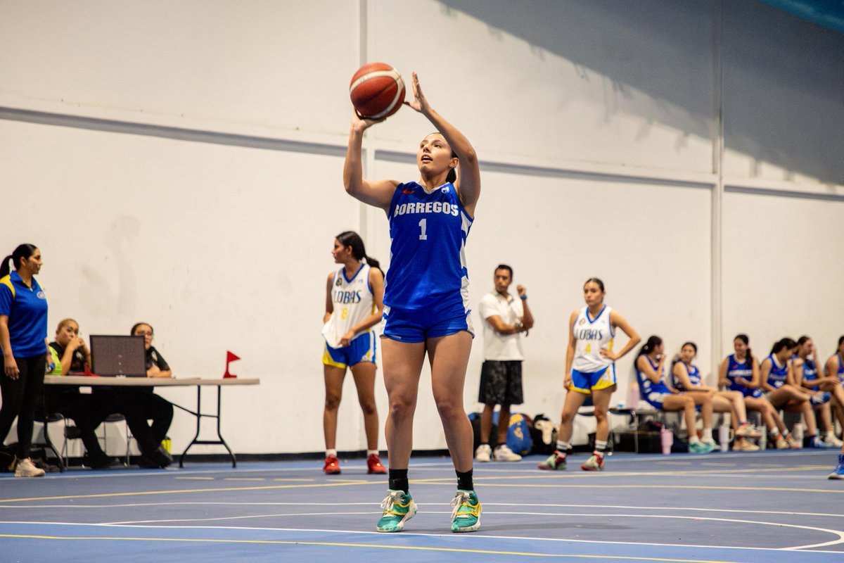 Nuestras alumnas del equipo de basket han tenido una gran temporada y se preparan para jugar la gran final de la liga ADUL esta semana. 

¡Vamos Borregas! 🏀🔥