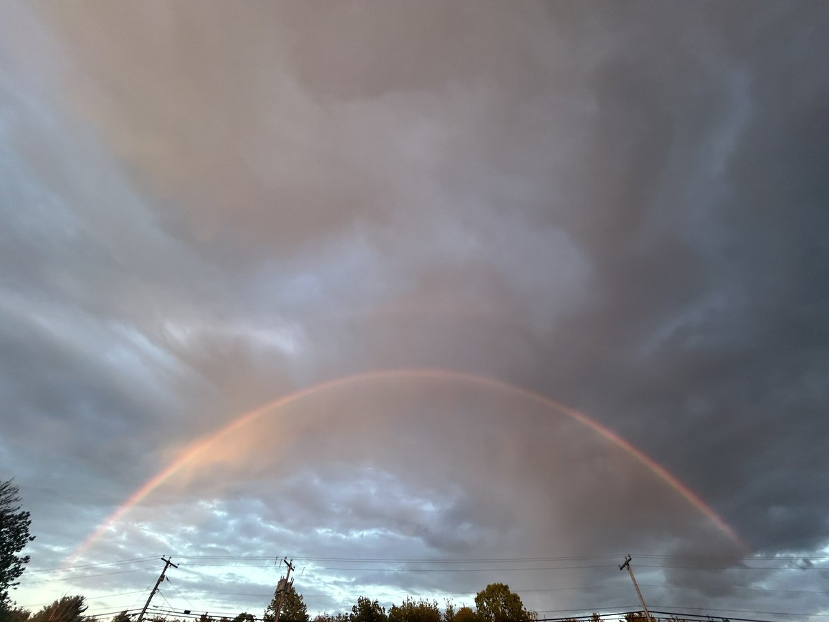 Camryn “165mph EF3” Noel tweet media