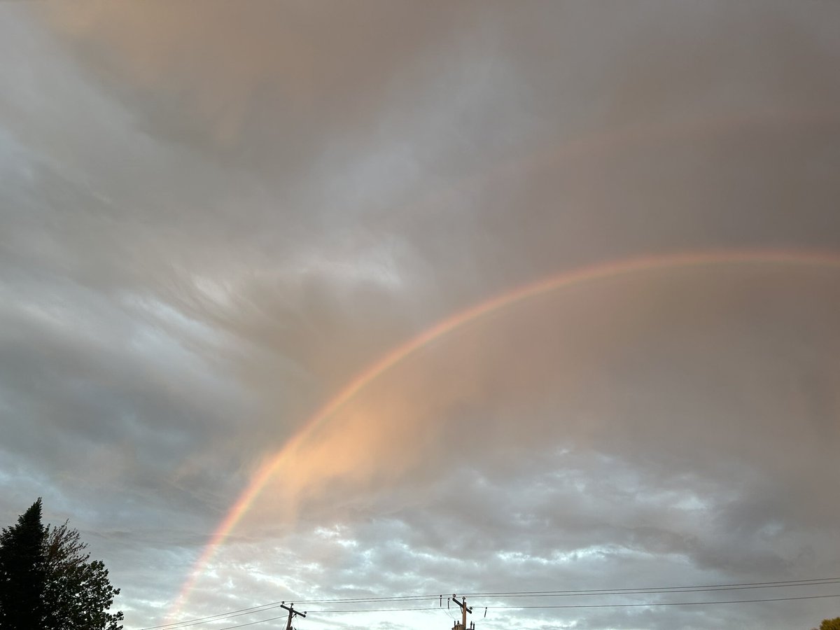 Camryn “165mph EF3” Noel tweet media