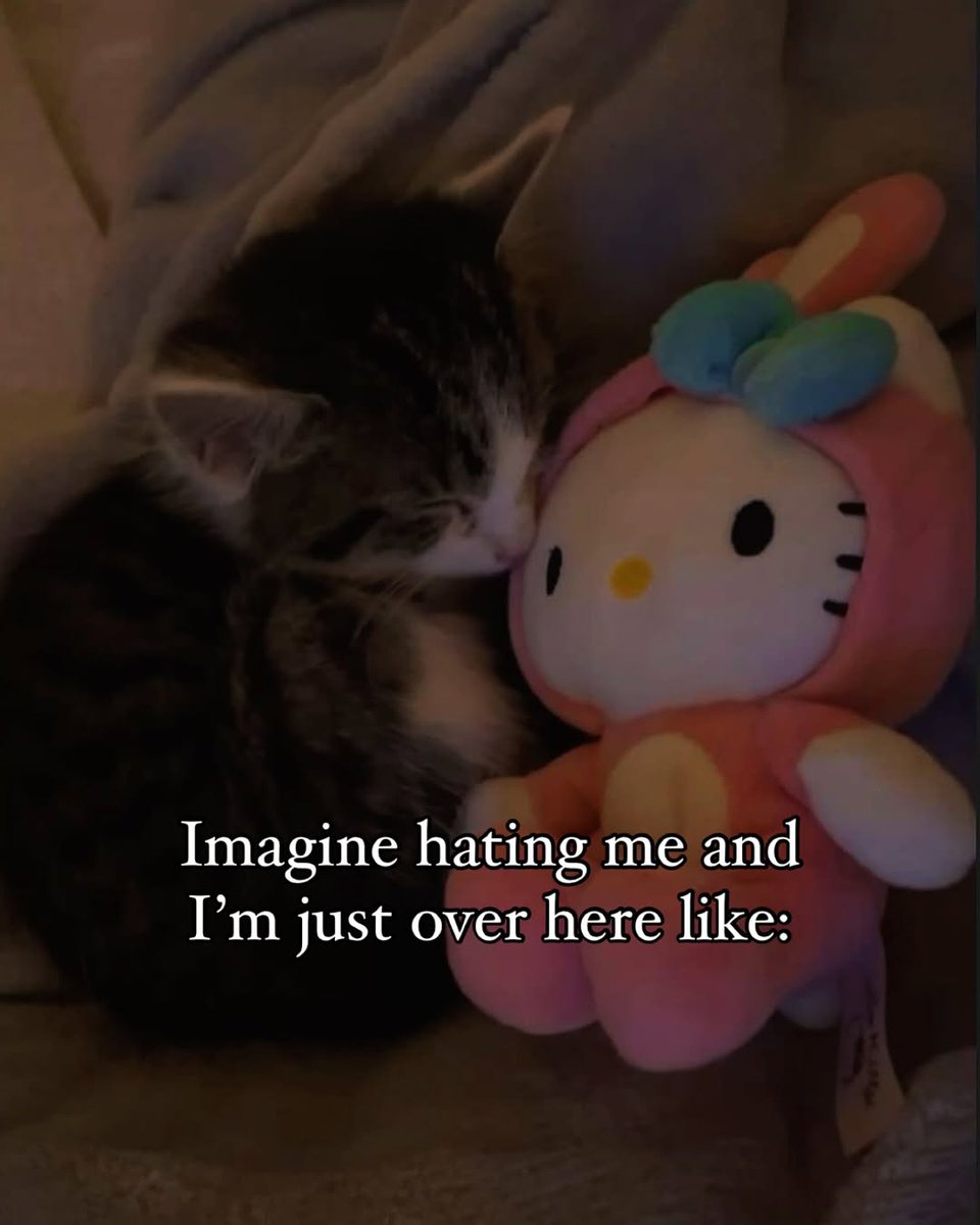 Catsillyness's tweet photo. ㅤ https://t.co/jqfEnqpU0x