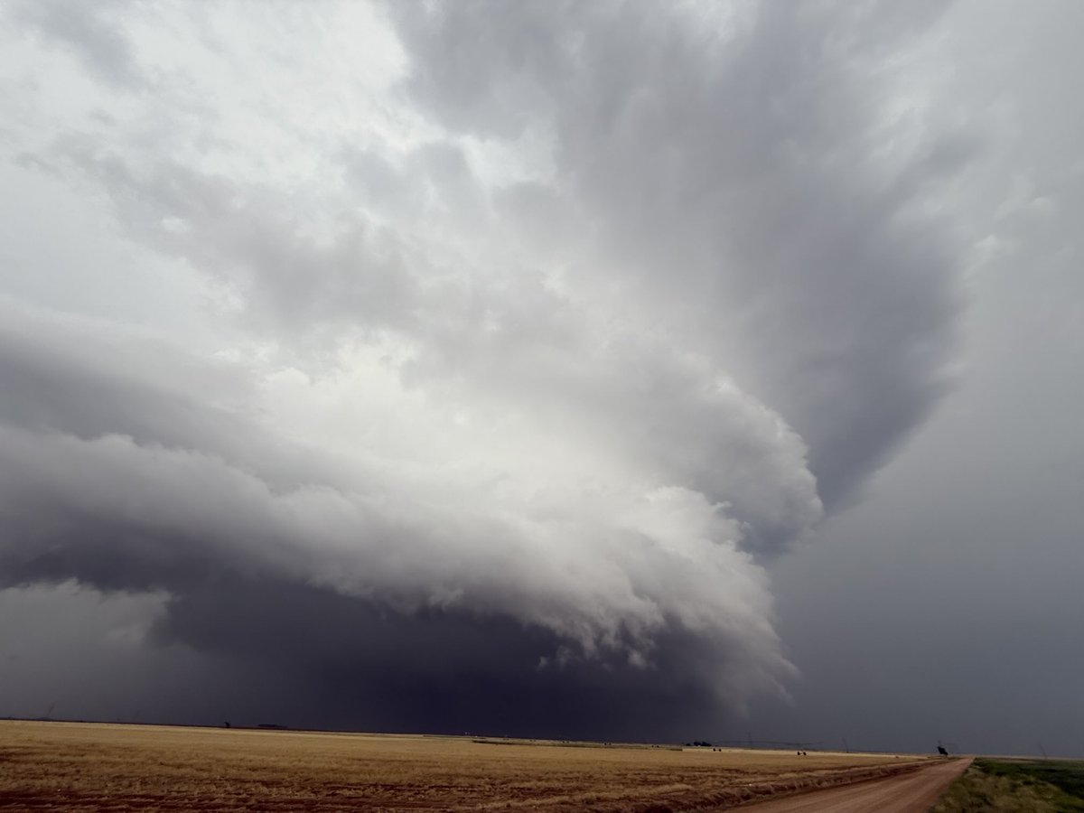 Greg Gaffney tweet media