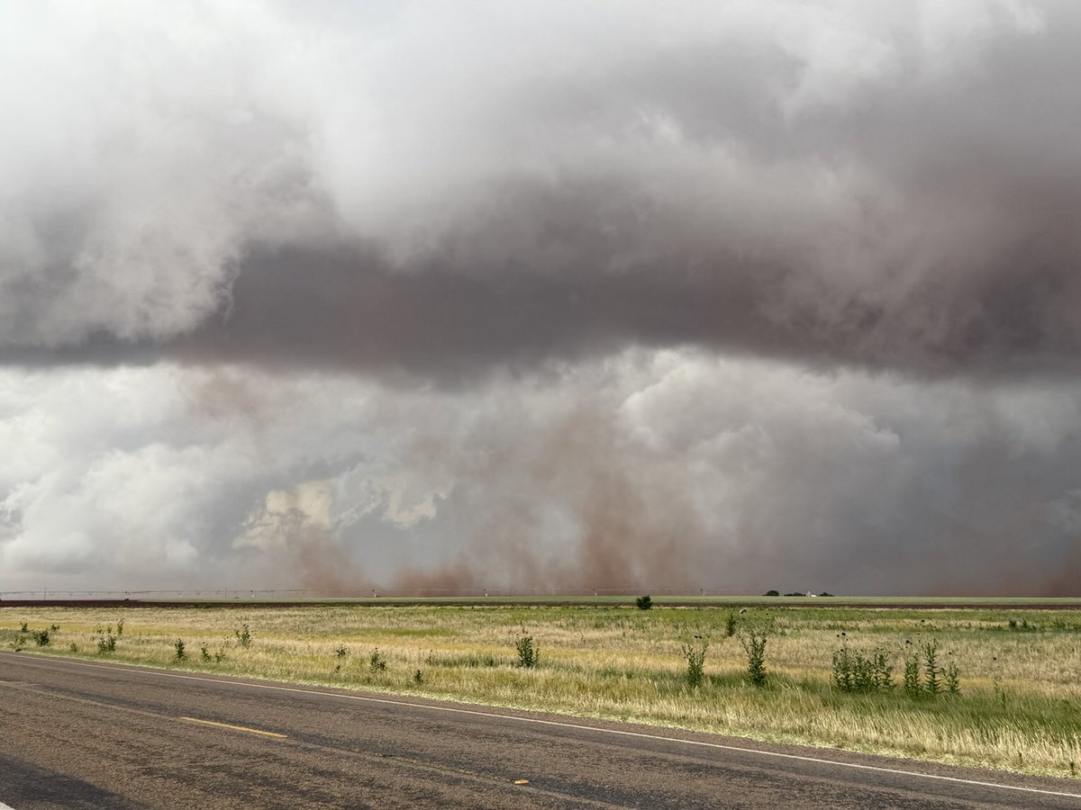 Greg Gaffney tweet media