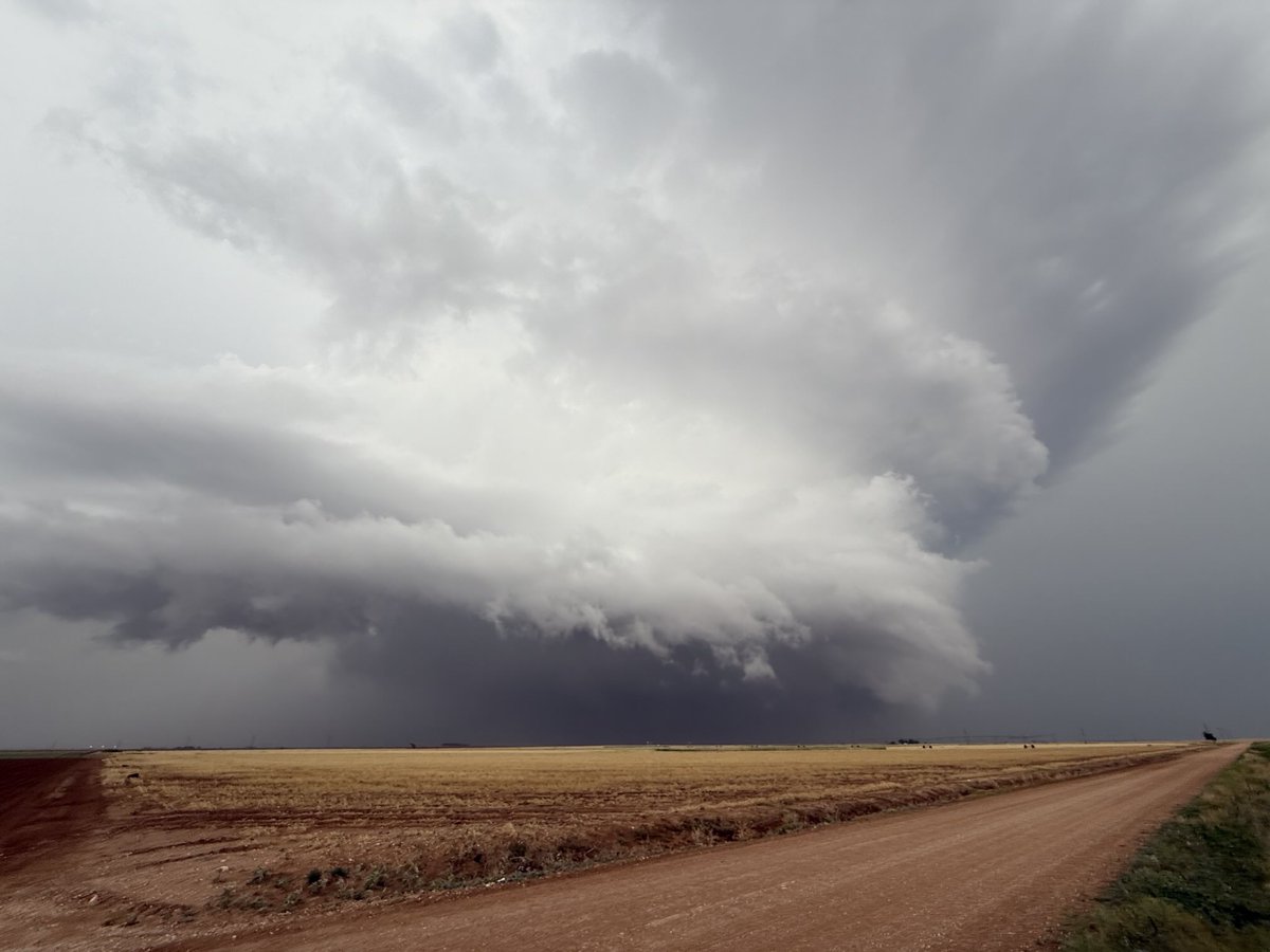 Greg Gaffney tweet media