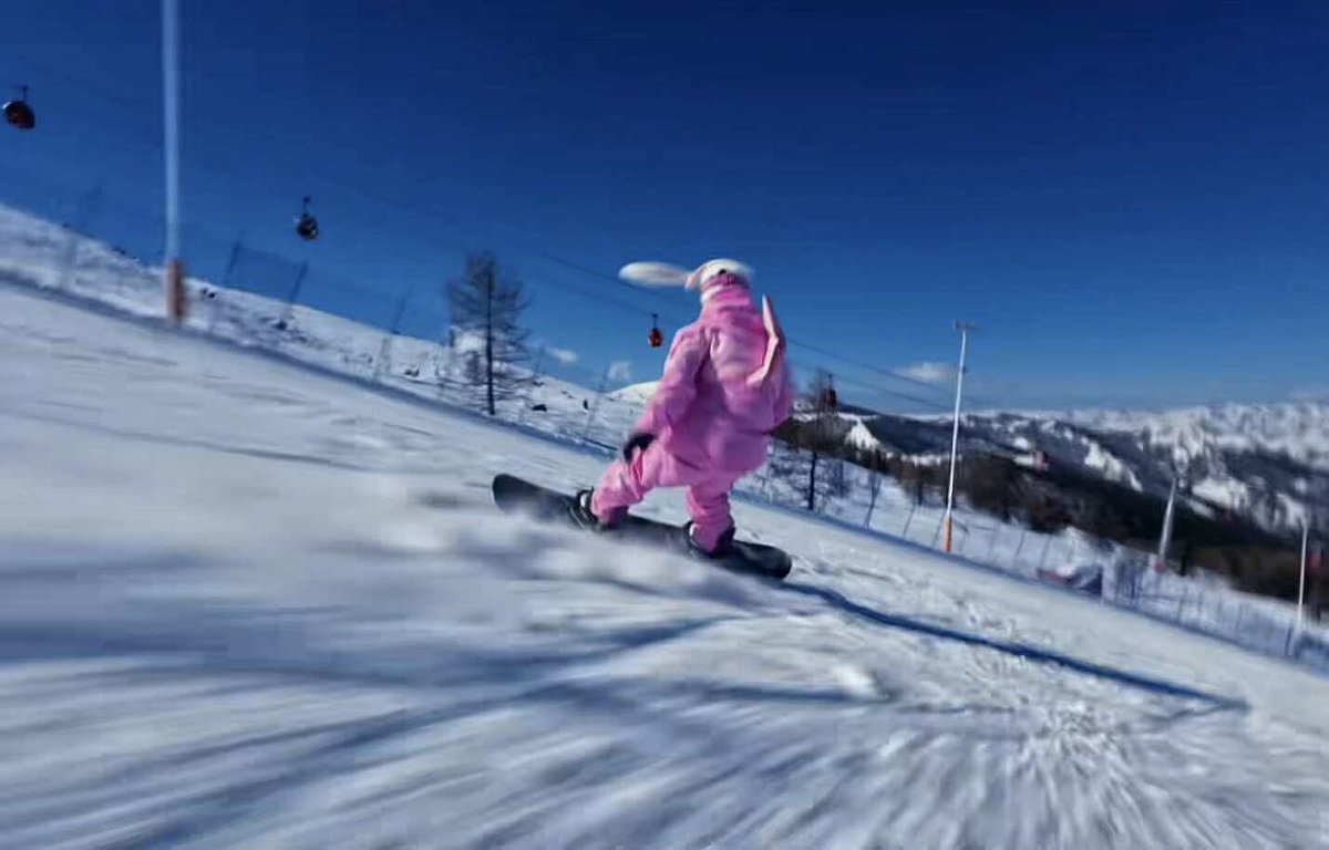 Melissa 🇨🇦 六七儿 tweet media