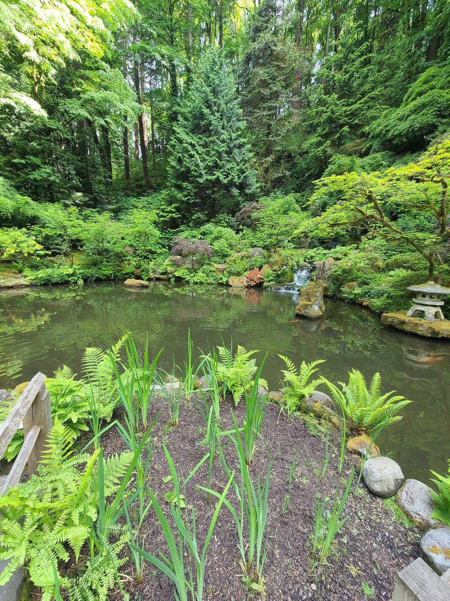 Joseph Ugarte tweet media