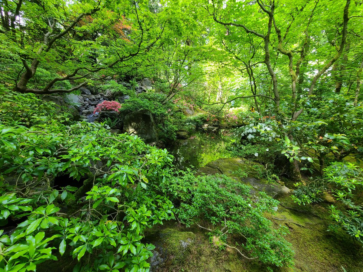 Joseph Ugarte tweet media