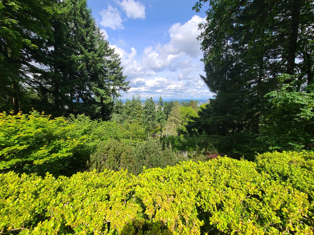 Joseph Ugarte tweet media