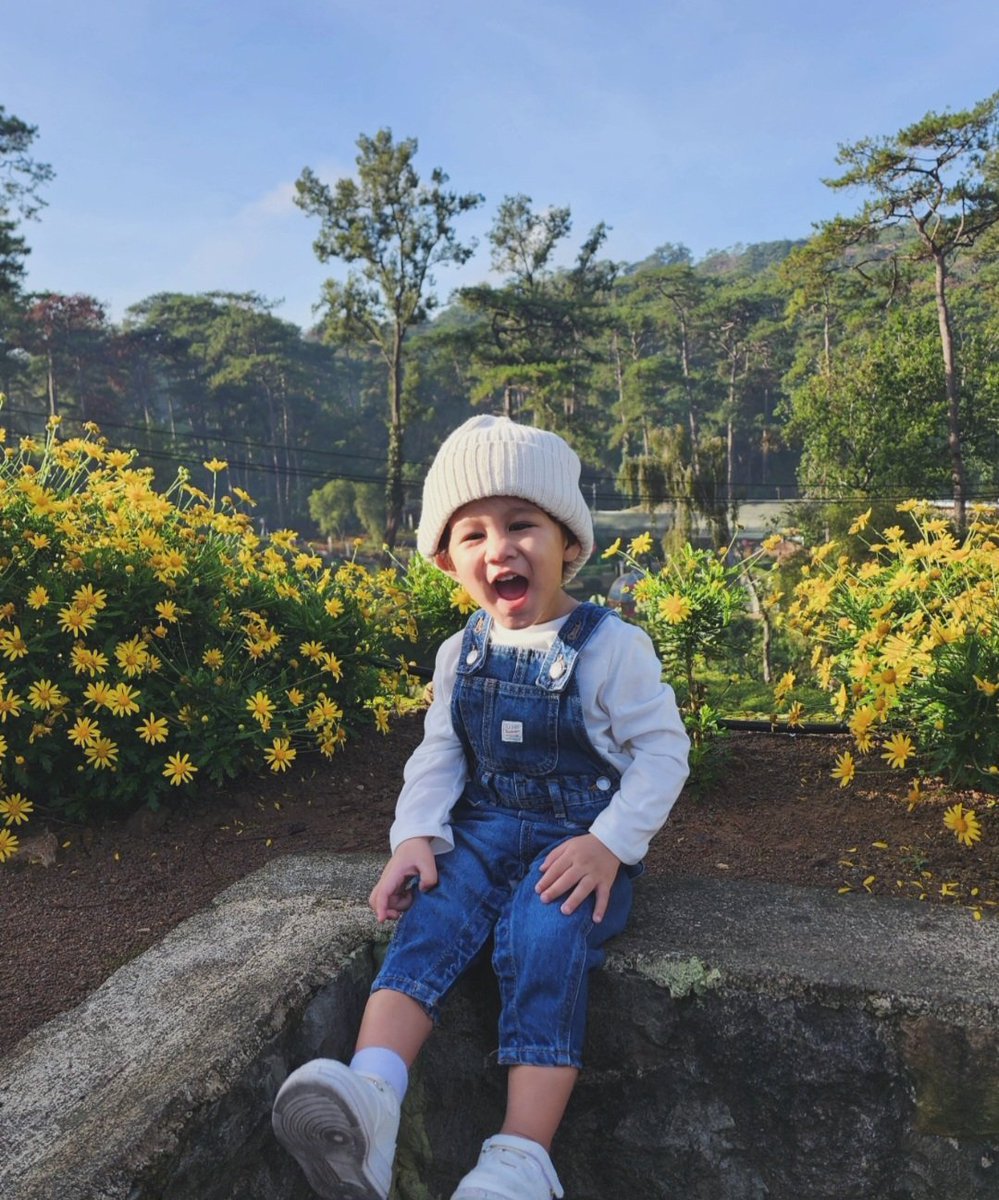 dumpkhyy's tweet photo. My safe haven 🌼 https://t.co/vvv5yWyTjW