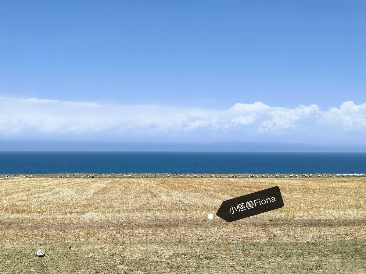 广阔天地，大有作为🐎🐎