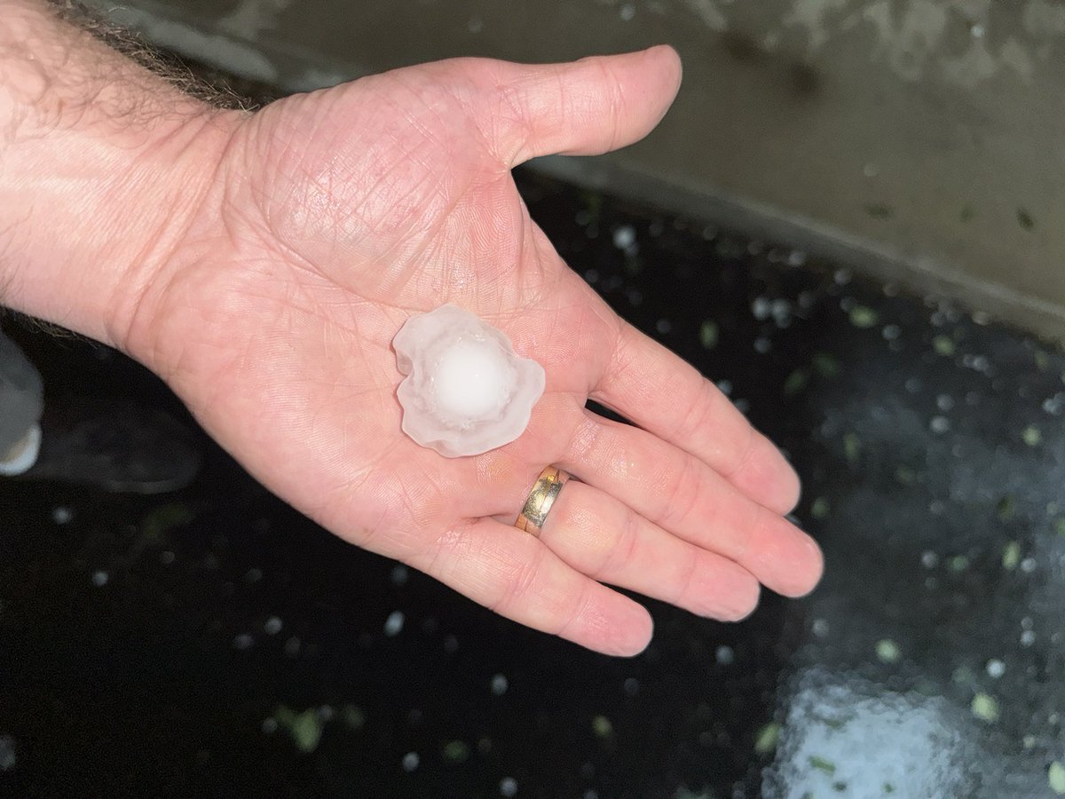 AdamKalkstein's tweet photo. Riding out some 1.5” hail in Fredericksburg, TX.  Don’t worry, Avis, we’re under an overhang! https://t.co/1X7Y93d4Mp