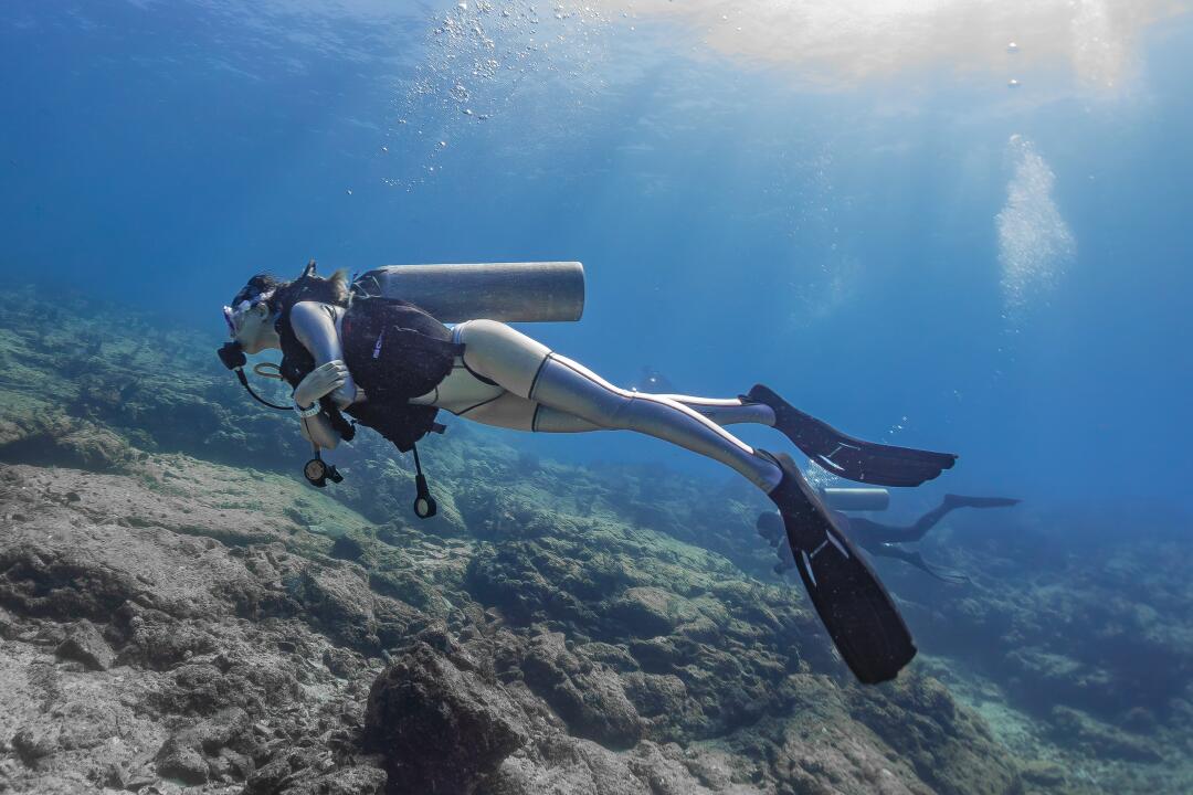 halay100's tweet image. There's a lot of good dive sites in California