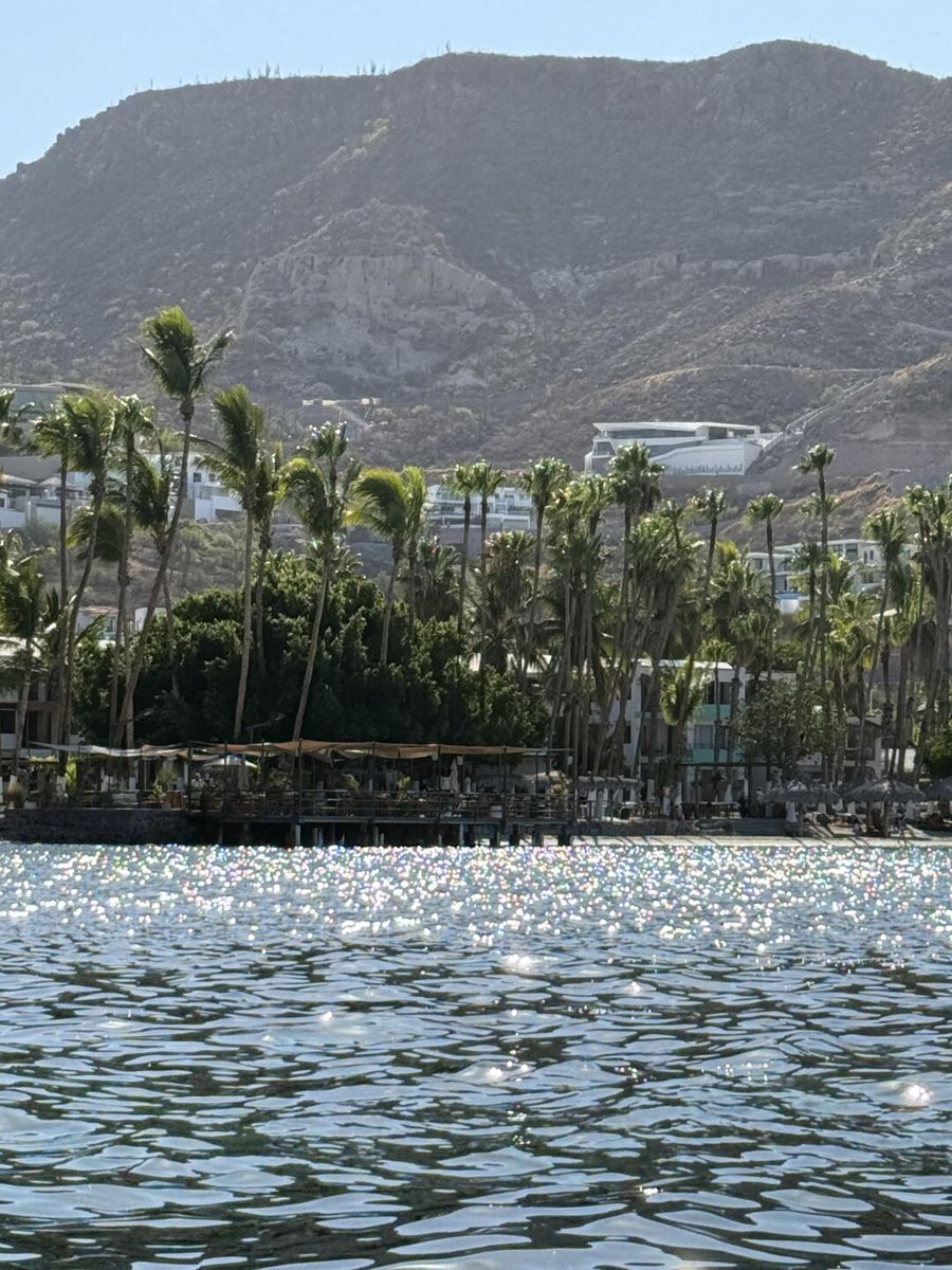 halay100's tweet image. There's a lot of good dive sites in California