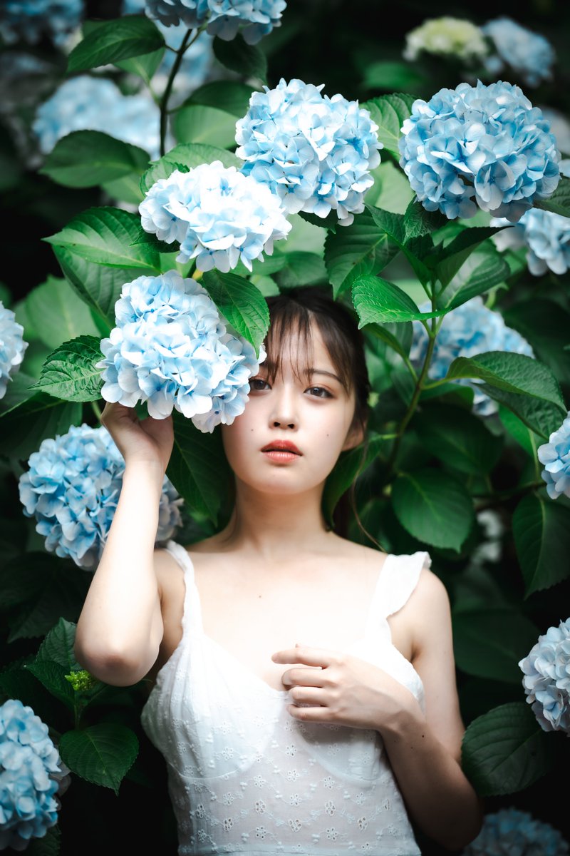 そろそろ紫陽花の季節ですな🪻
#gallery_no8
<a href="/Gallery_No_8/">Gallery No.8</a>