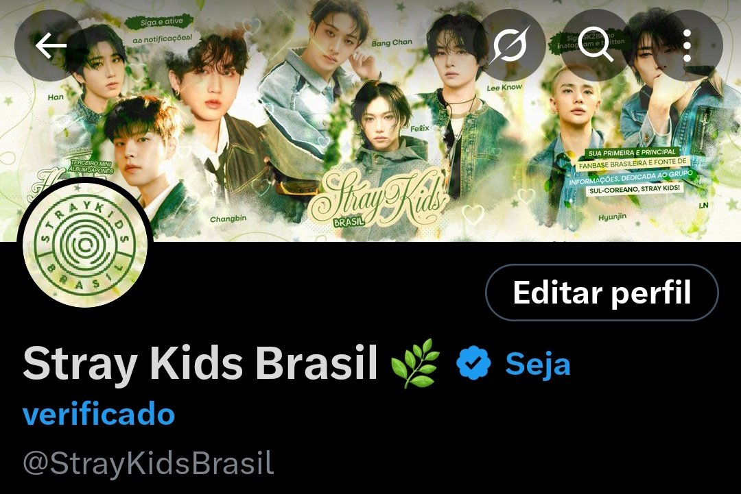 Stray Kids Brasil tweet media