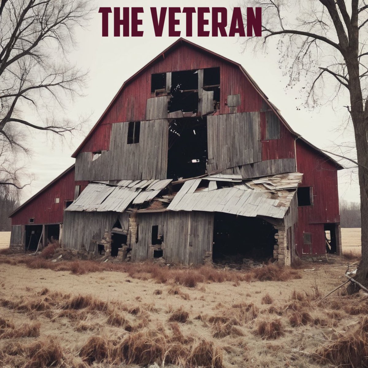 Every time I pass one of these old barns, I’m reminded of Veterans.  They both protect the flock, and get beaten down in the process.  They weather the storms, and lose little pieces of themselves as they do.  And still today, can and will protect t the flock!  Thank You