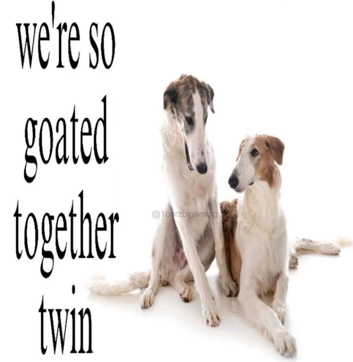 Me & Who? (@tagyourwho) on Twitter photo 