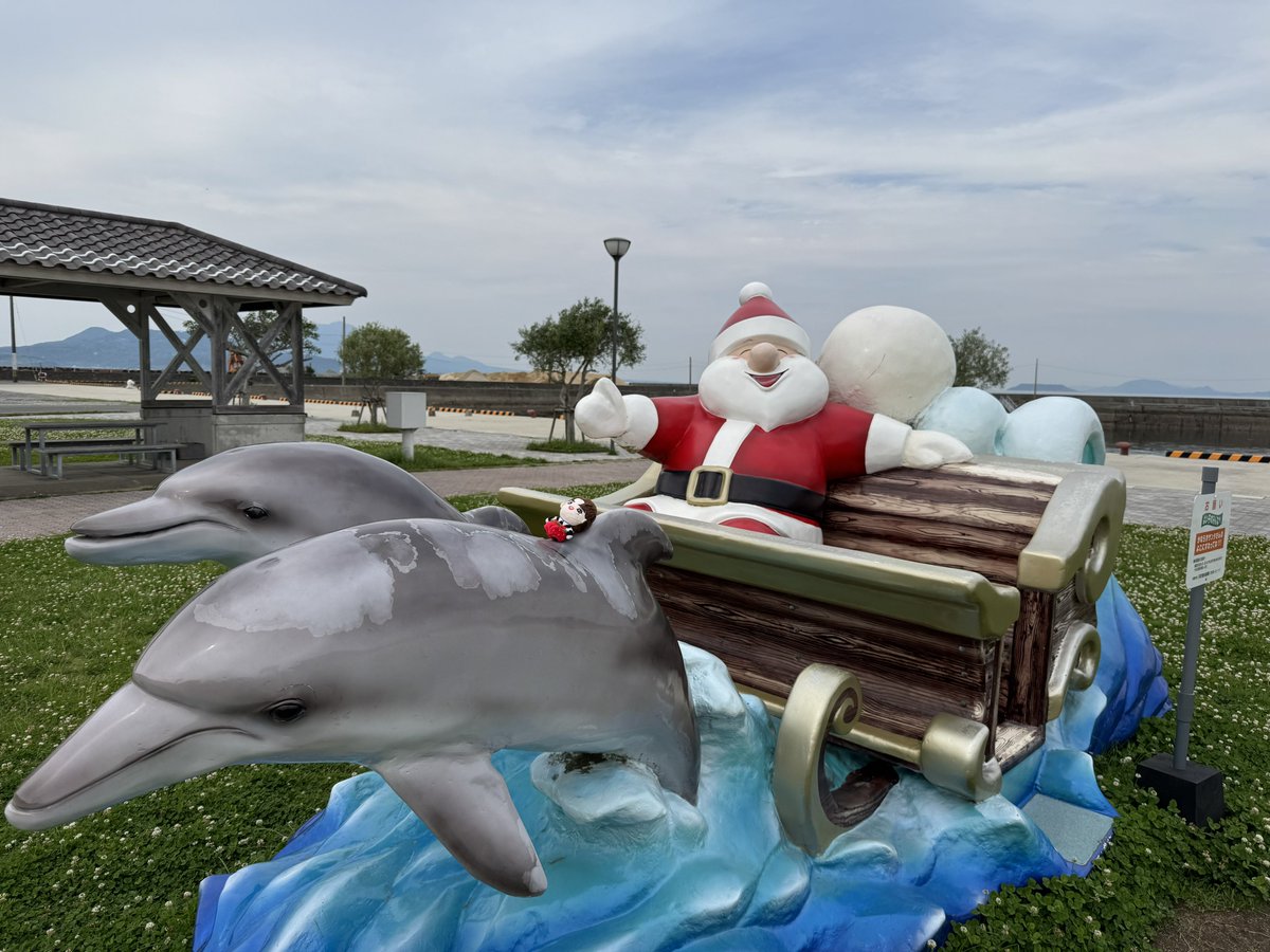chocolate21w's tweet photo. イルカに乗ったぬいんちゃん🐬
イルカウォッチングが有名な町ではイルカがサンタさんのソリ🛷を引いてた😂
#タイ沼ぬい部 #windoll https://t.co/cFzDlLdF6G