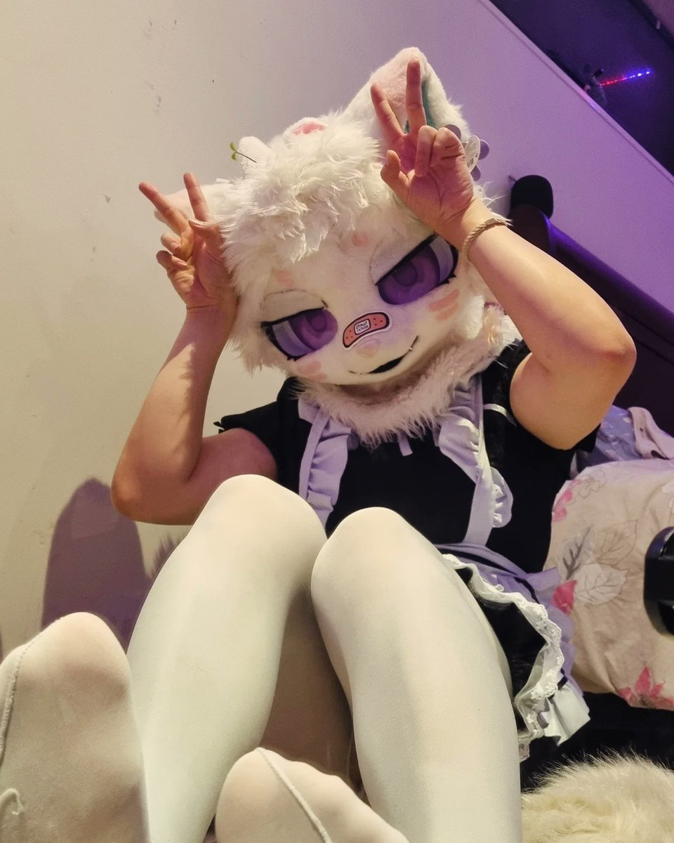 yukkoSn's tweet image. She so meowpilled