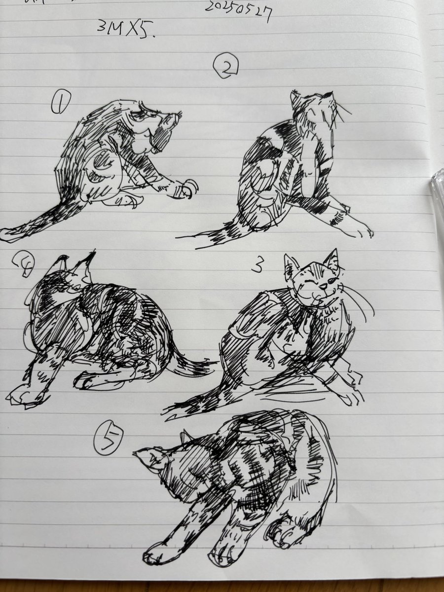 ocha12art's tweet photo. 20250527
croquis。vol.17
#ペン画 #sketch #スケッチ #絵描き
#動物スケッチ #cat #猫 #絵描きさんと繋がりたい #croquis #クロッキー #マンレボ #manrevo https://t.co/TzZ6uSPuII