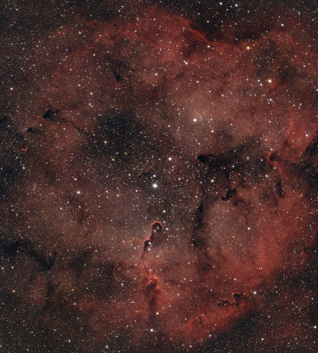 Elephant Trunk Nebula with an Askar SQA84 and 2600MC Pro camera.  900 minutes and still going.  

#astrophotography #IC1396