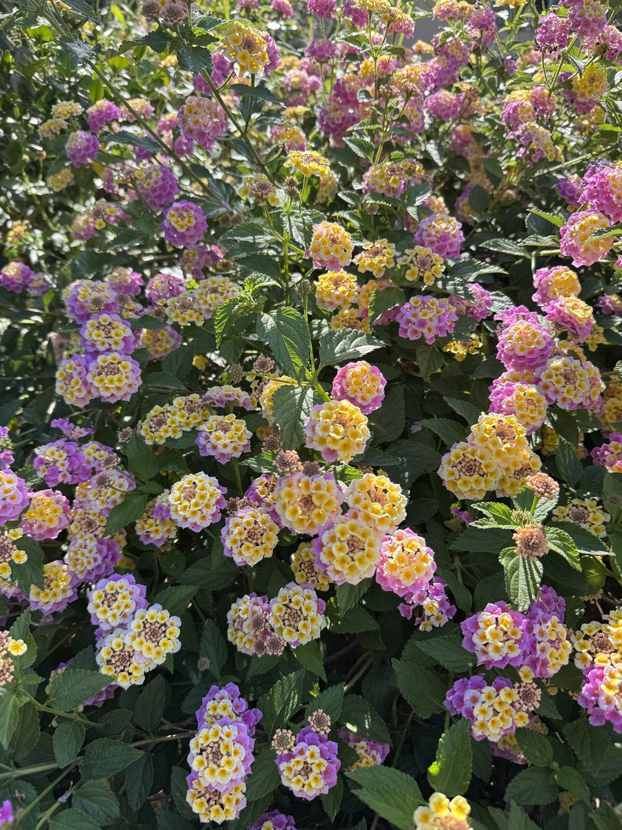 Gaby Alvarez (@alvarezgaby10_) on Twitter photo 