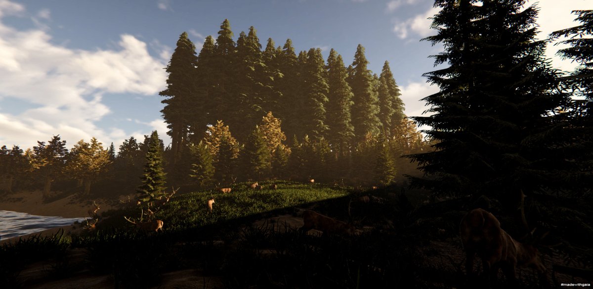 Adam Goodrich tweet media