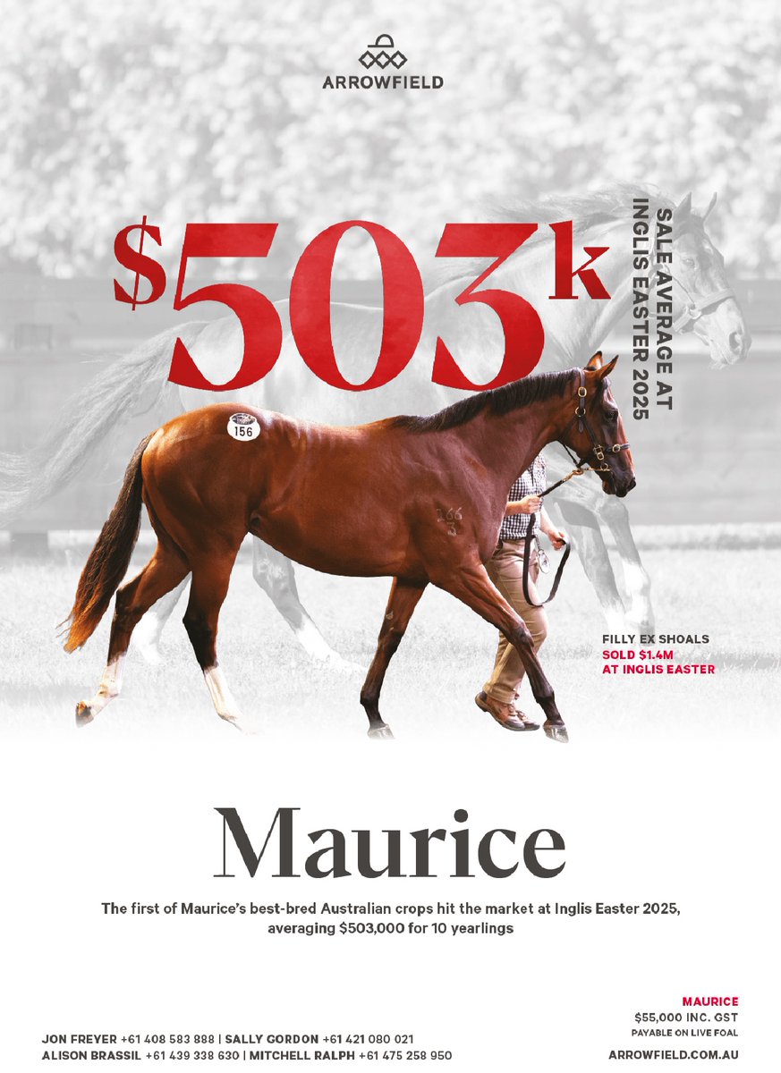 MAURICE 💥

$503k Sale Average at Inglis Easter 2025

<a href="/ArrowfieldStud/">Arrowfield Stud</a>