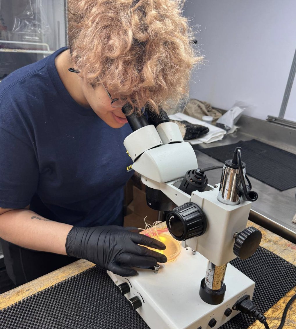 EVNautilus's tweet photo. Today's #InstagramTakeover is hosted by Science Team member Breanna Jordon, a grad student who works with @MCZHarvard to study #deepsea animals- especially her PhD focus animal: #SeaSpiders. Stay tuned as she takes over our #InstagramStories and #FacebookStories. https://t.co/goxCegq817