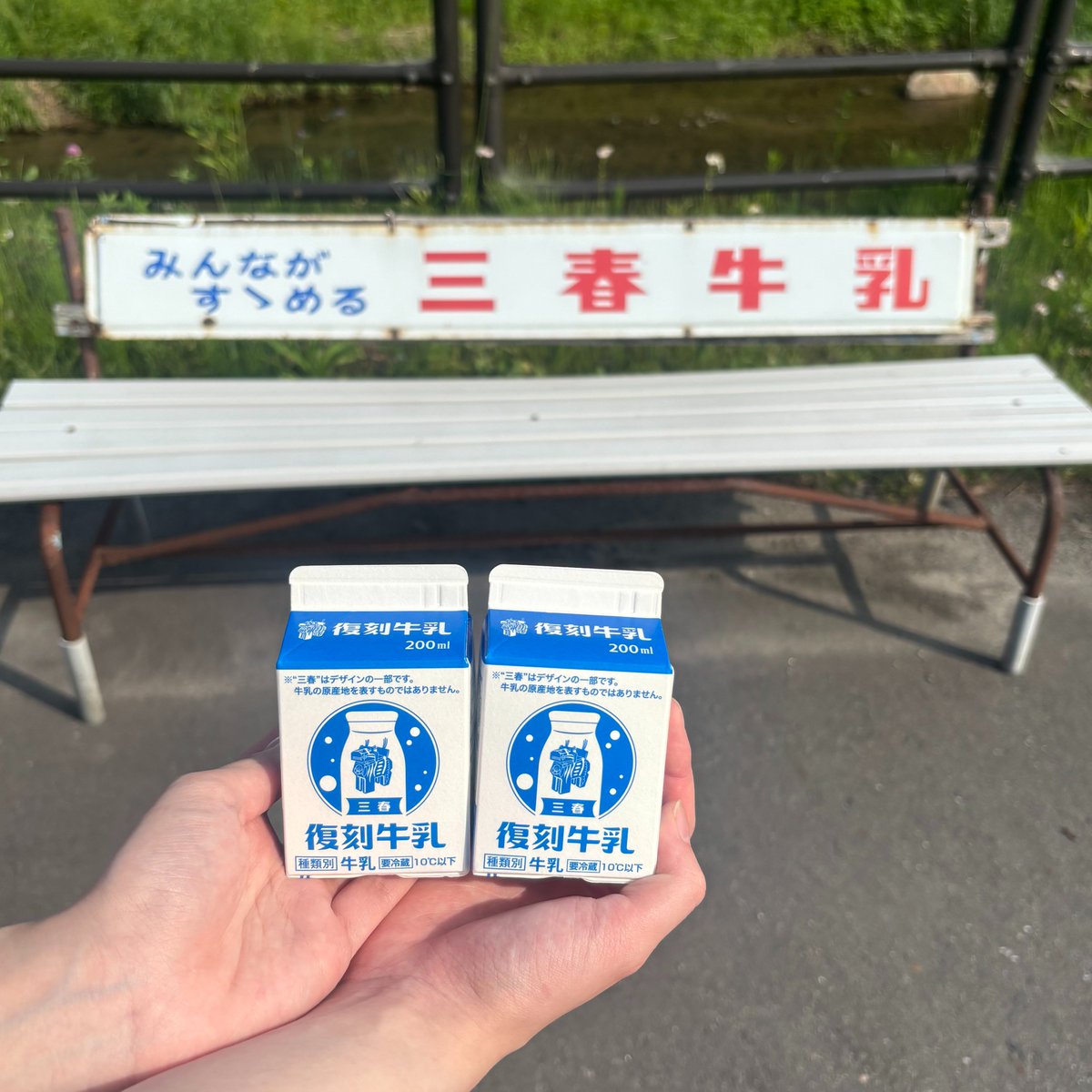 三春牛乳ベンチを探せ🥛✨ ＼ みなさん、”三春牛乳ベンチ” 知ってい