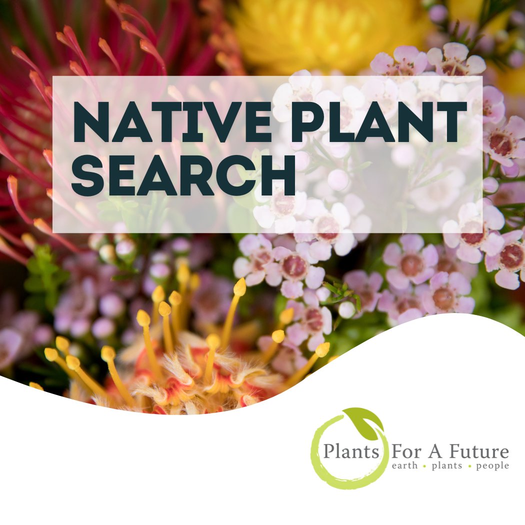 New! Search for Native Plants by Location on the Plants For A Future Website. Read More pfaf.org/plants/new-sea…
