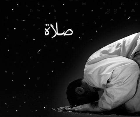 Jamal Orakzai🇵🇰🫶🇦🇪 tweet media