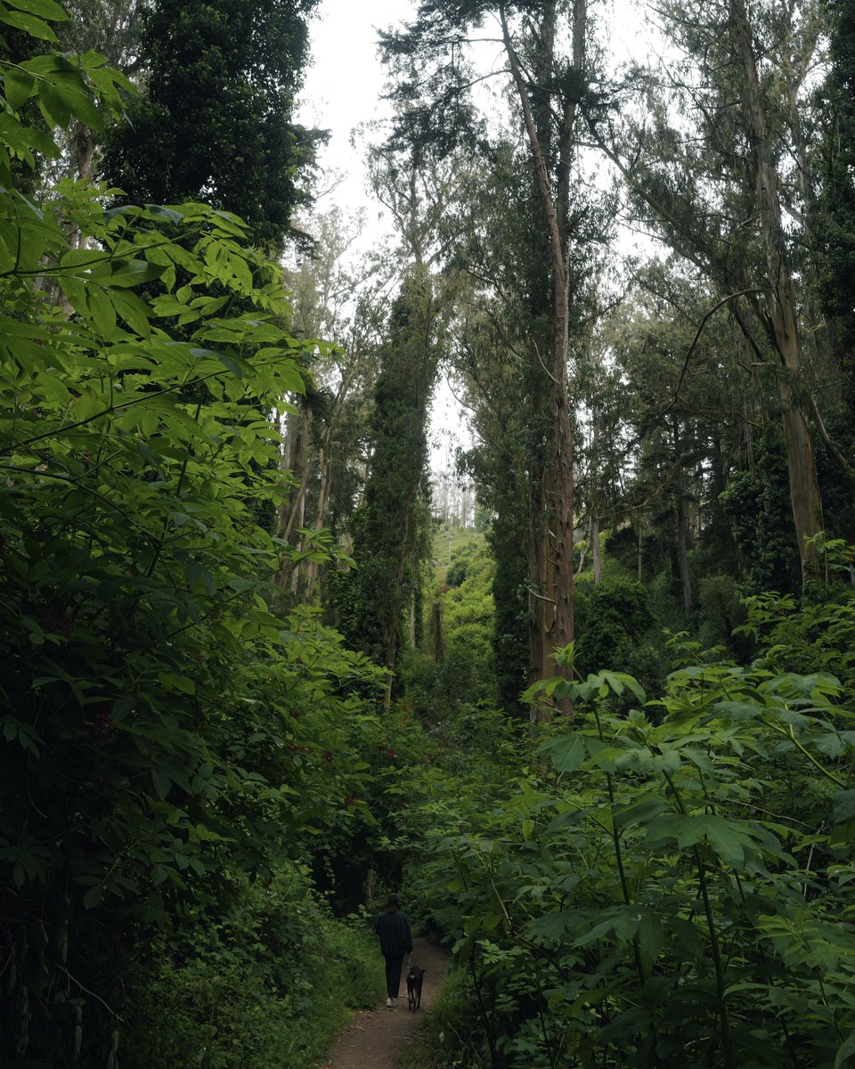 i managed to get out of bed and touch grass