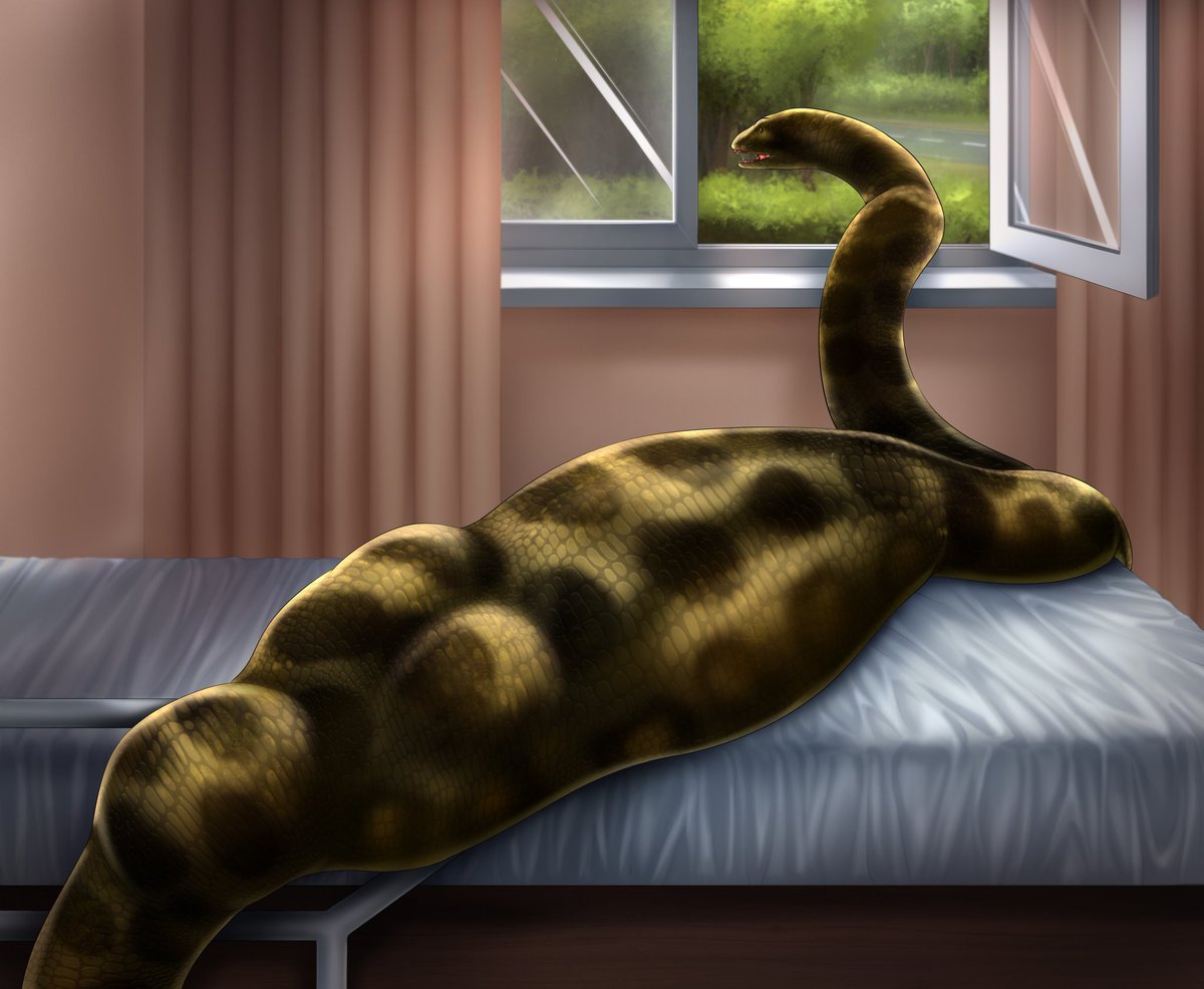 Kaa (Parody) tweet media