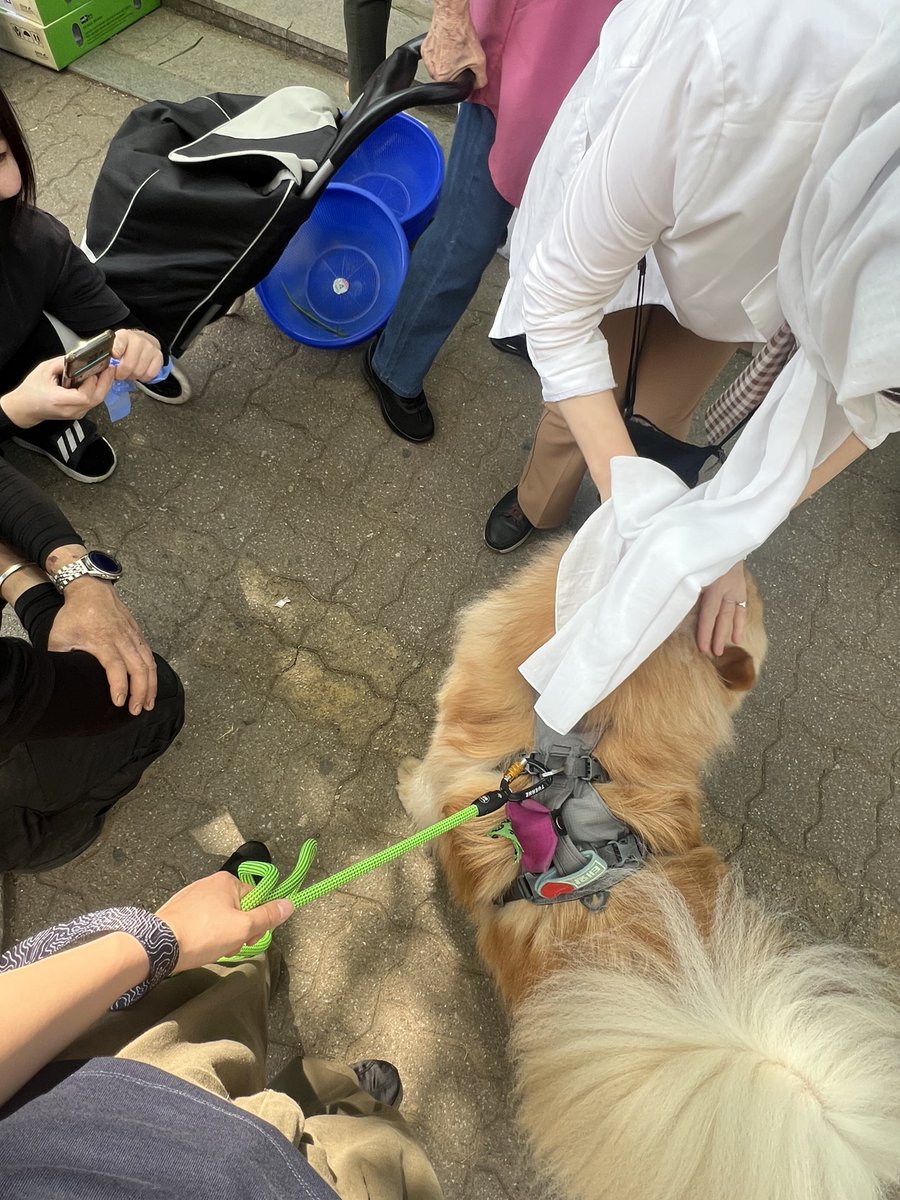 동네 야채 가게에서 팬미팅 열렸음 이턍 기분 째짐 난리남 여기서 살거래