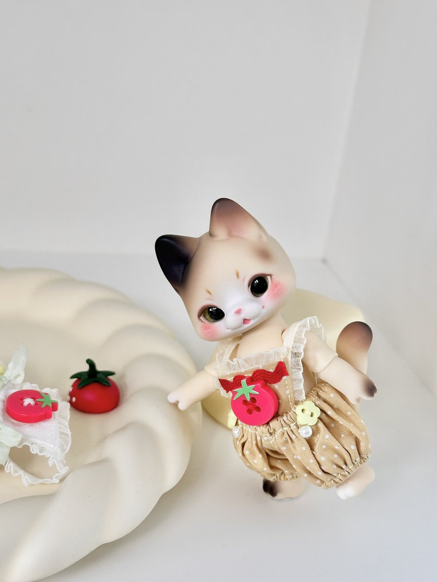 🐱: 사댱님 제 오므라이스 좀 탔는데요💦

💛💛💛 미오 완전 깜찍이

#kumukuku