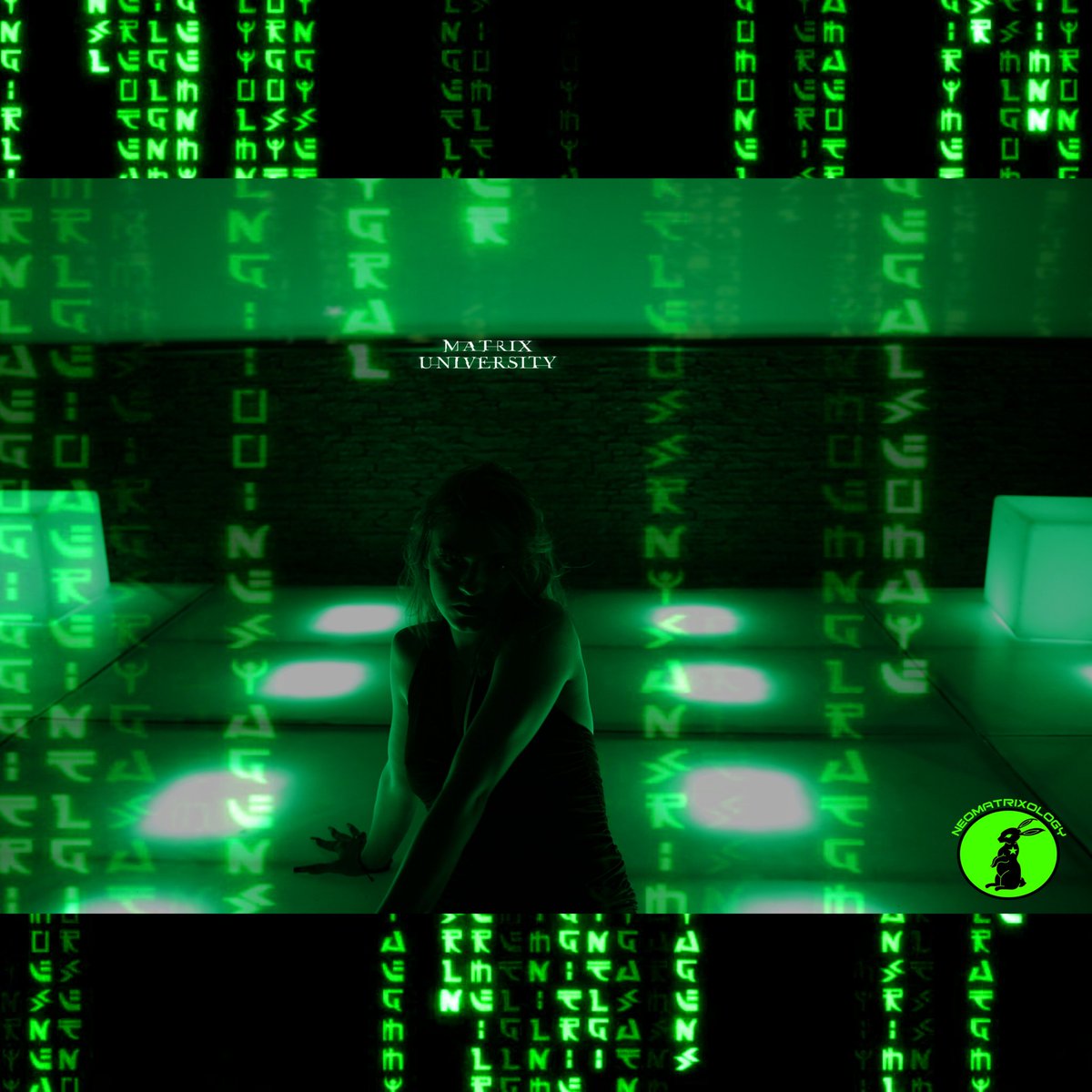 NeoMatrixology's tweet image. &quot;I have told you before, there’s no escaping the nature of the universe.&quot;
-Merovingian

#Matrix #MatrixMonday #Mxo #Succubus #MatrixCosplay