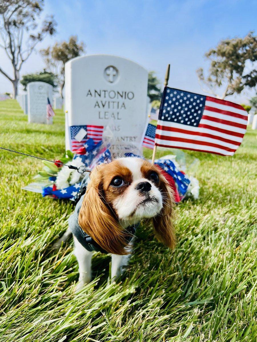 Remembering our brave men and women who have served and have since passed. We remember our loved ones who paid the ultimate price for our GREAT NATION - these UNITED STATES OF AMERICAN!!