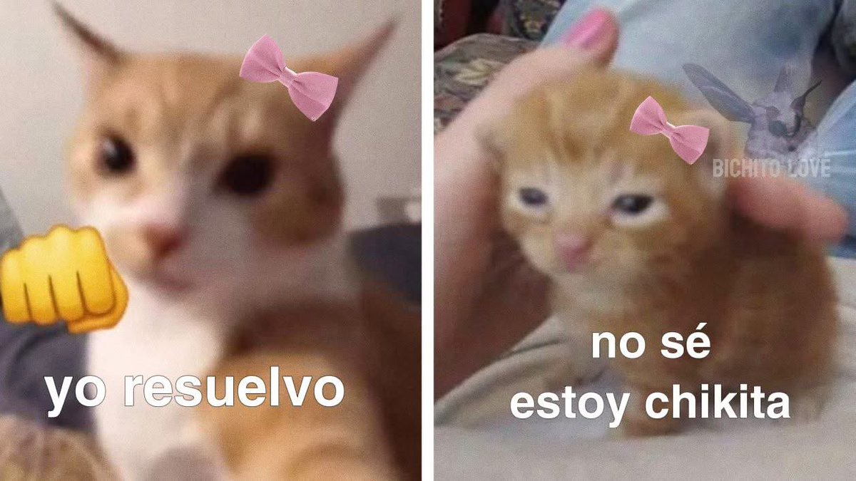 Mi vida laboral es un viaje entre estas dos cosas: