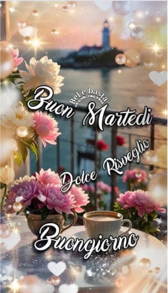 RITABIANCHi56 tweet media