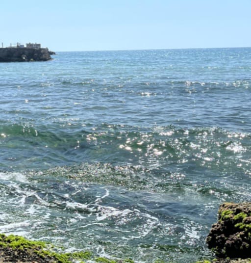 الناس فترات ما تتعلقوا... التخلي بيريح
#صباحووو