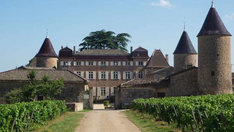 Master 2 Commerce des Vins tweet media