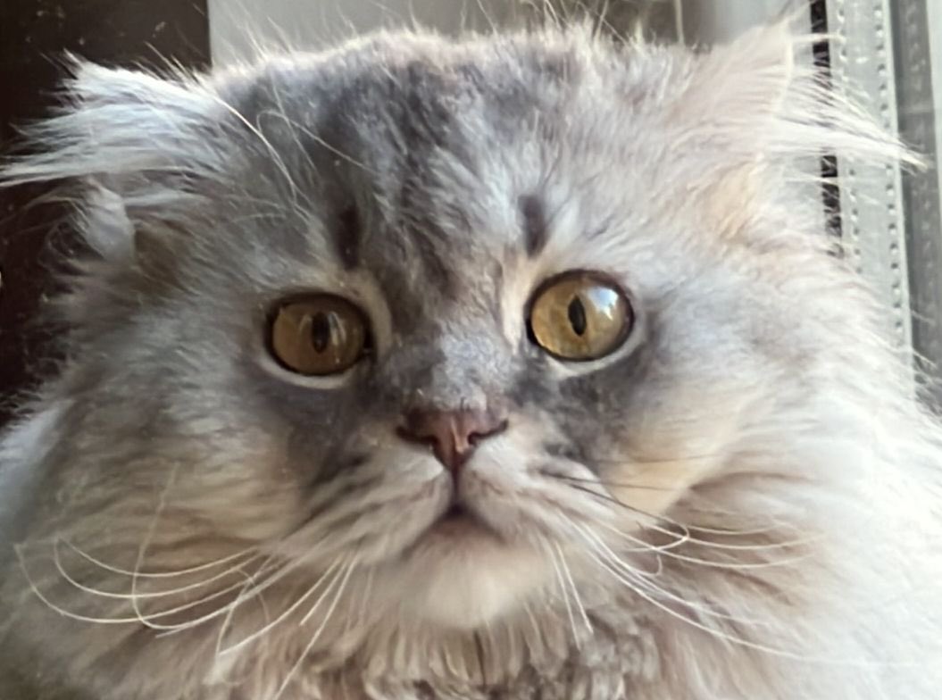 Yakım pilam foto çekilmicdim