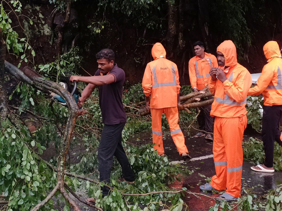 TNDRFHQ's tweet photo. தென்மேற்கு பருவமழை பேரிடர் மீட்பு பணிக்காக கூடலூரில் முகாமிட்டுள்ள TNDRF B3 team 26.05.2025 - 1700 மணிக்கு கூடலூர் to ஊட்டி நெடுஞ்சாலை Forest Checkpost அருகில் போக்குவரத்துக்கு இடையூறாக சாலையின் நடுவே விழுந்த மரத்தை நல்ல முறையில் அப்புறப்படுத்தினர்…#Tndrf #Rescue @TNDRFHQ https://t.co/my3SxCxawF
