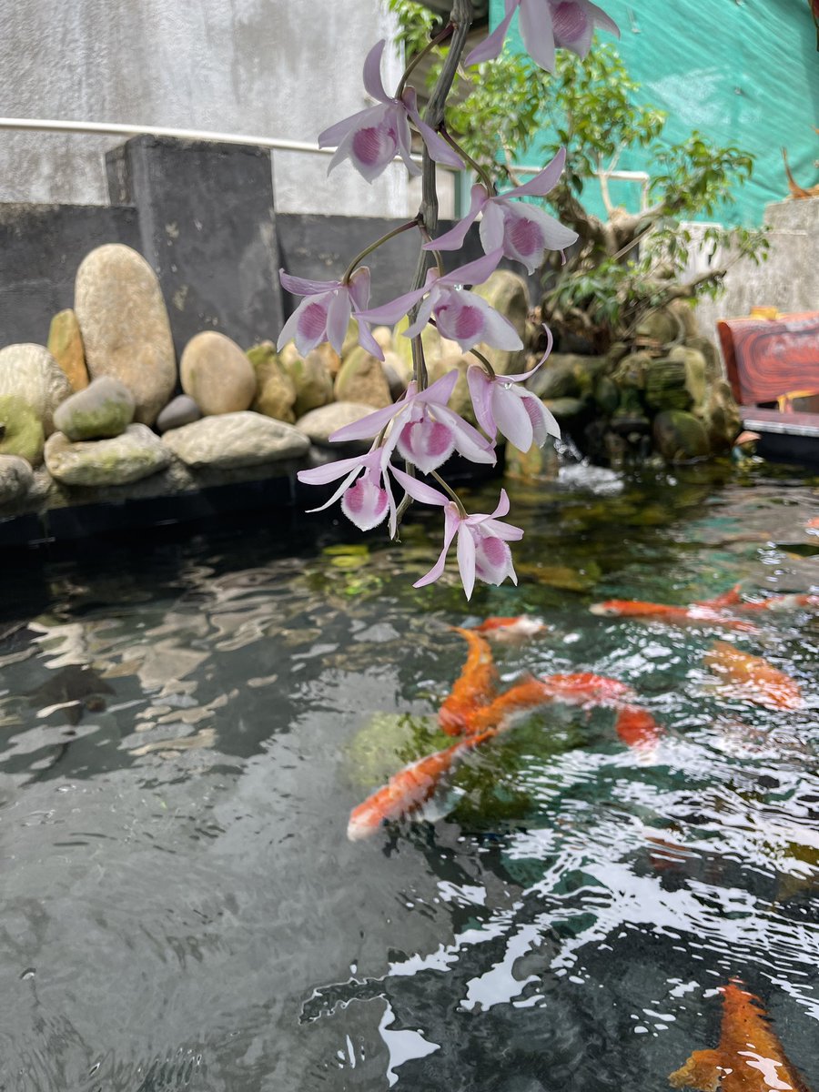 I love <a href="/realclownicp/">$CLOWN on ICP</a> $ICP!
Join $CLOWN at social.insaneclownprotocol.com

Earn tokens! Offer rewards!
100% permissionless and on-chain!